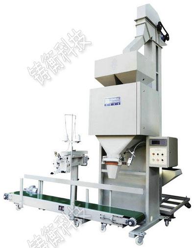 ��Ӷ�����